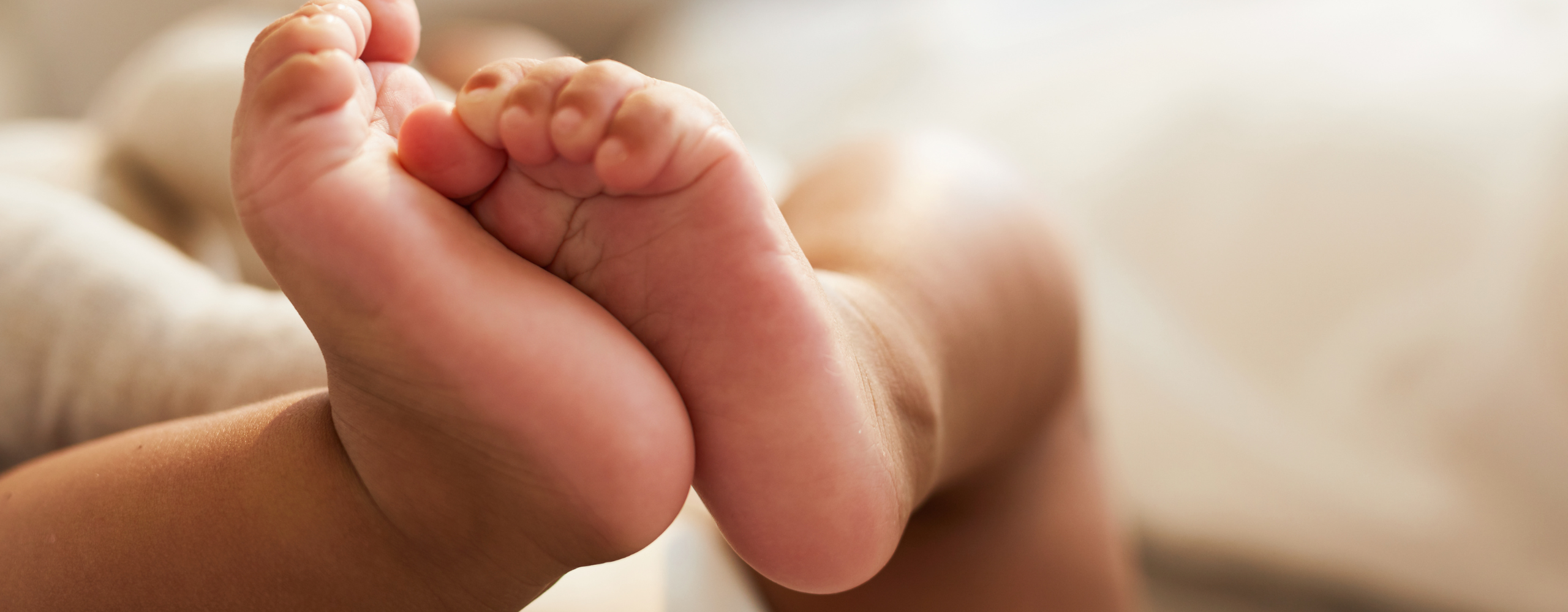 Surrogacy in Mexico: The Complete Guide for Gay Men and Same-Sex Couples Surrogacy in Mexico